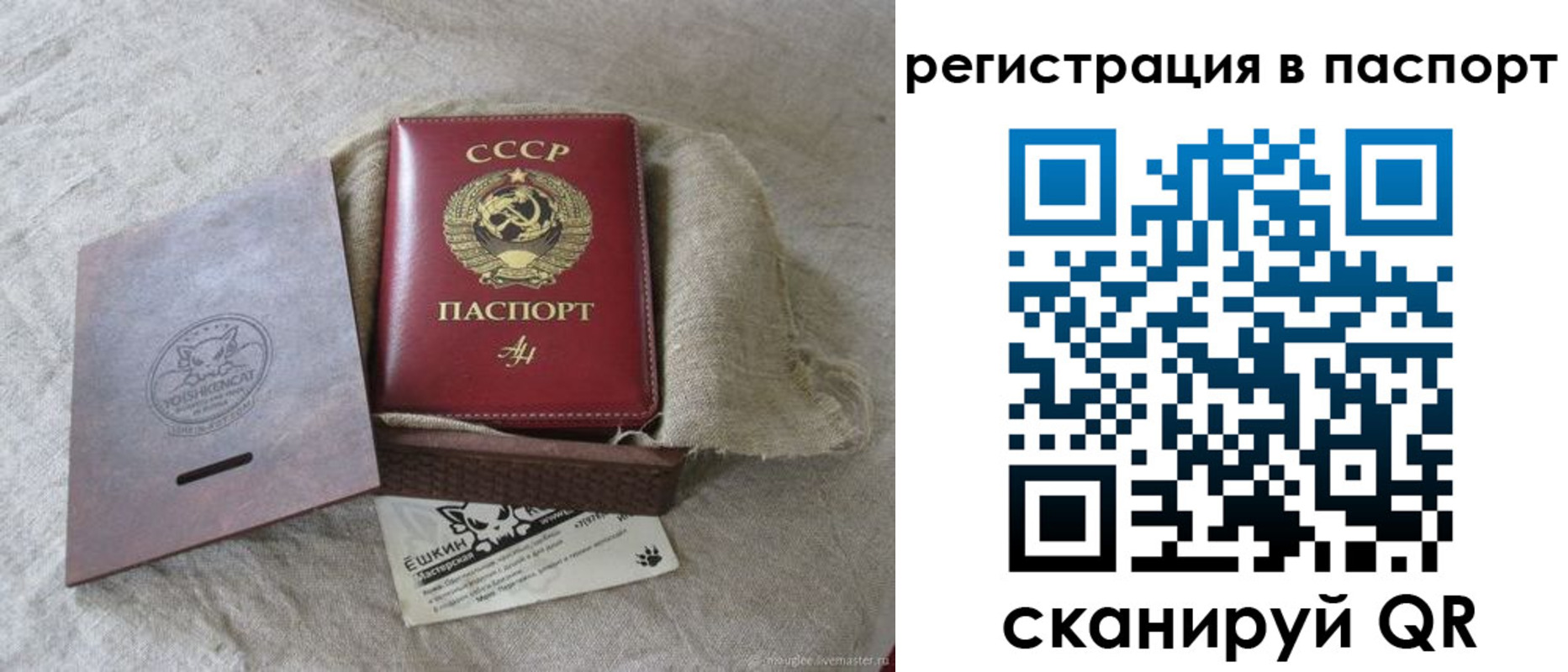 прописка регистрация в Полярных Зорях